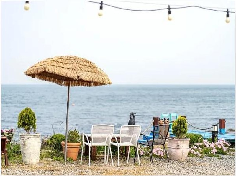 포항 가족여행지 포항 푸른고래카라반캠핑 후기