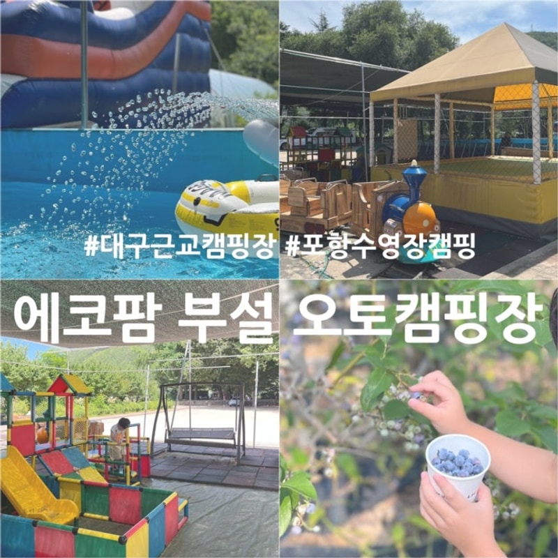 대구근교 포항 수영장 캠핑 아이와 에코팜 부설 오토캠핑장