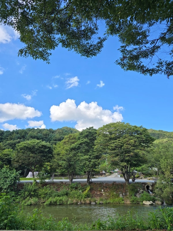 양평 반딧불캠핑장 9번 사이트, 차박, 곡달계곡뷰, 새로오픈