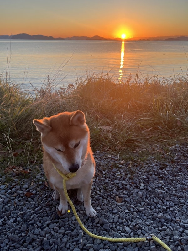 경남 창원 마산 해돋이 일출 명소 안녕오토캠핑장...
