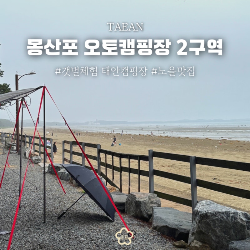 태안 캠핑장 갯벌체험 몽산포오토캠핑장2구역 오션뷰 여름여행