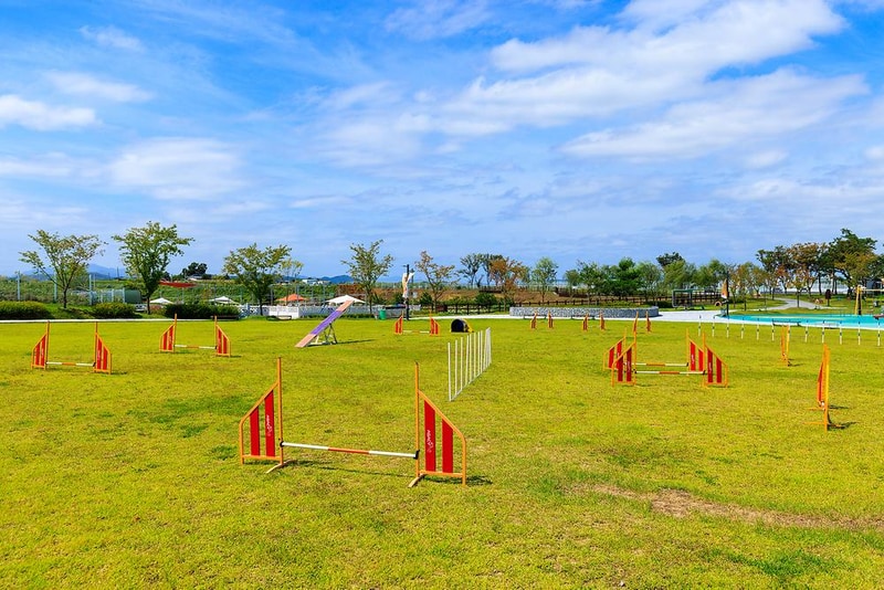 의성펫월드 오토캠핑장 시설 사진 21
