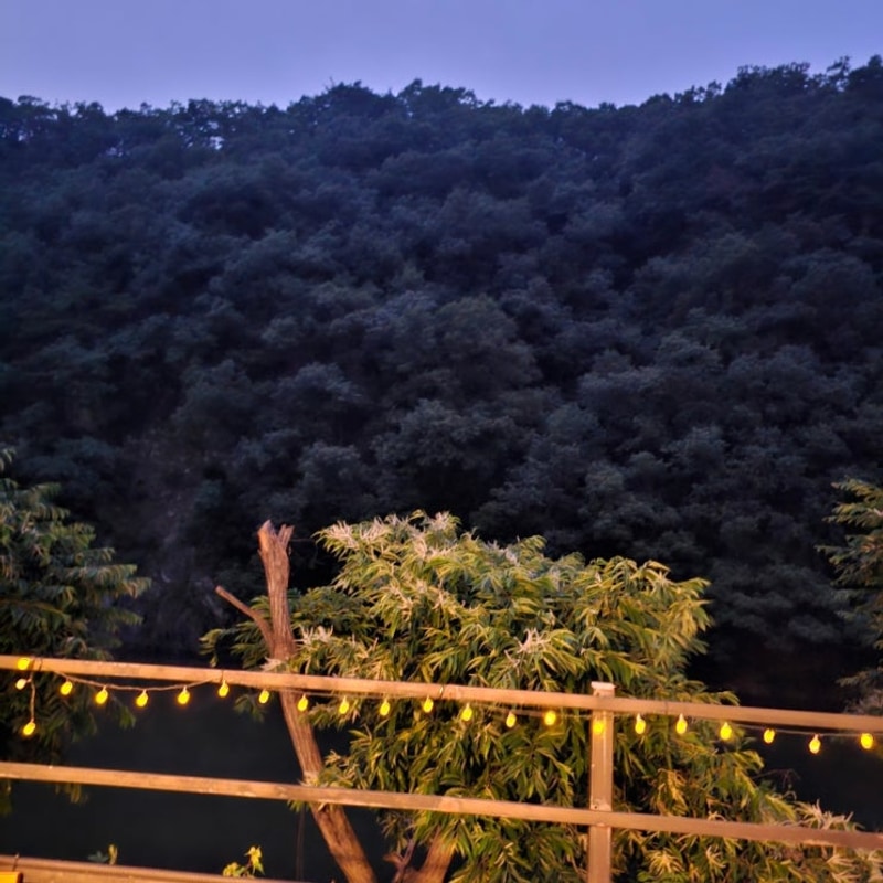 양평군 서종면 숲이야 캠핑장