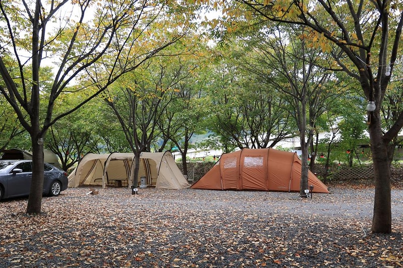 캠핑 돗가비 시설 사진 1