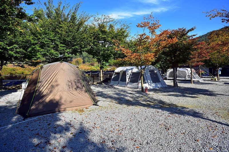월성오토캠핑장 시설 사진 2