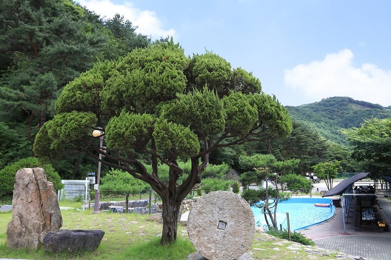 가창농원 야영장 시설 사진 17