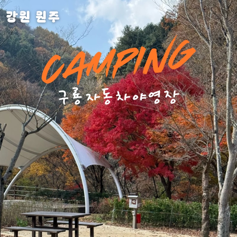 국립공원 야영장 치악산 구룡자동차 야영장 명당 l 원주...