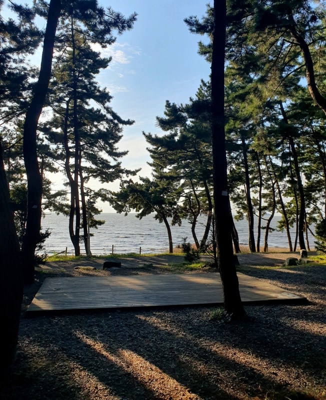 애견동반가능, 바다뷰 서천 장항 오토캠핑장 소개