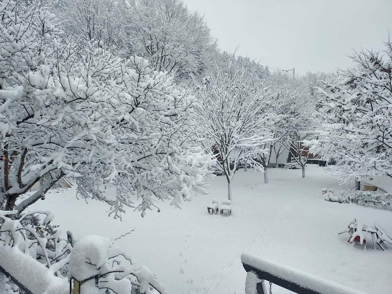 횡성산울림오토캠핑장 시설 사진 14