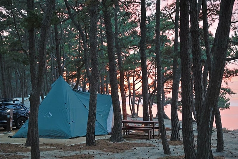 추천 캠핑 여행지 - 전북 부안 변산반도국립공원 고사포 야영장