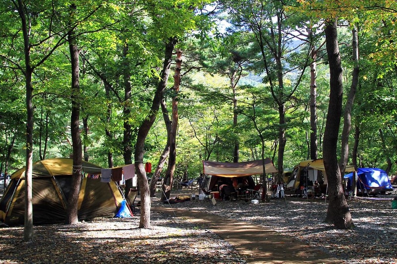 성주산 자연휴양림 시설 사진 8