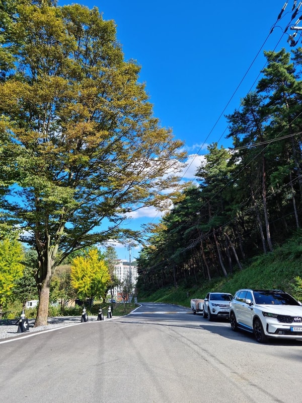 더 빌리지 시설 사진 15