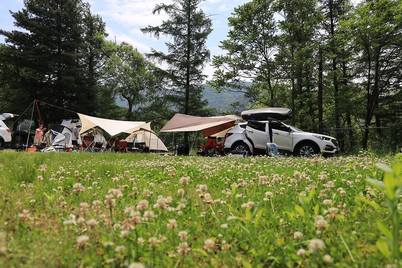 트리앤캠프스토리 시설 사진 2