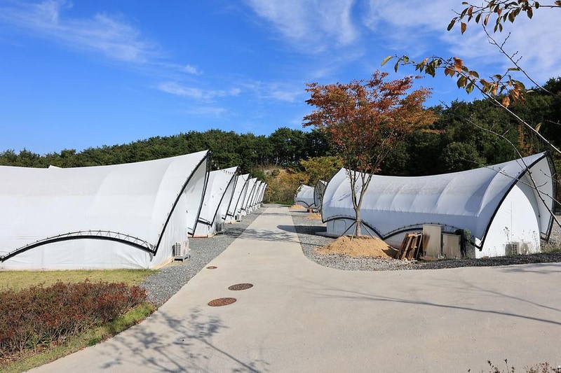 별숲글램핑 시설 사진 17