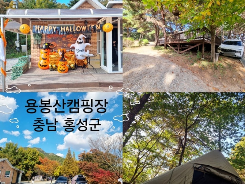 홍성 캠핑장 용봉산캠핑장(사진많음)사이트마다 사진b3 충남...