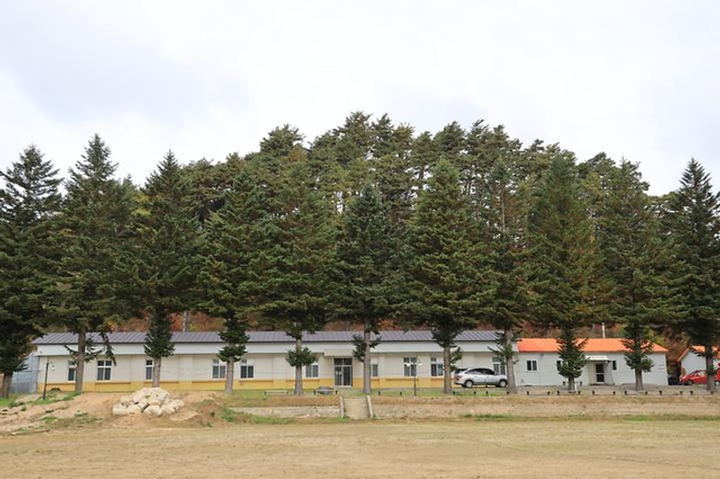 대기리산촌체험학교야영장 대표 사진