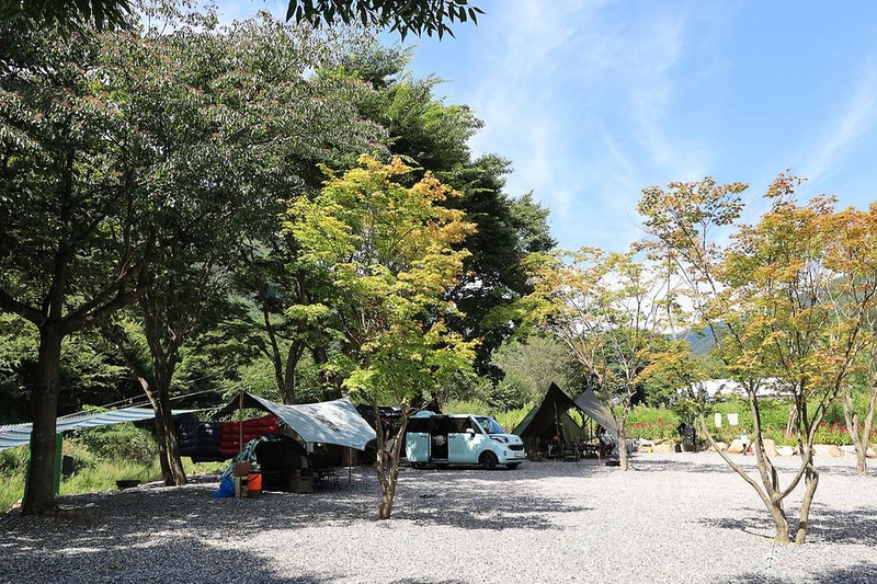 새솔캠핑장&펜션 시설 사진 15