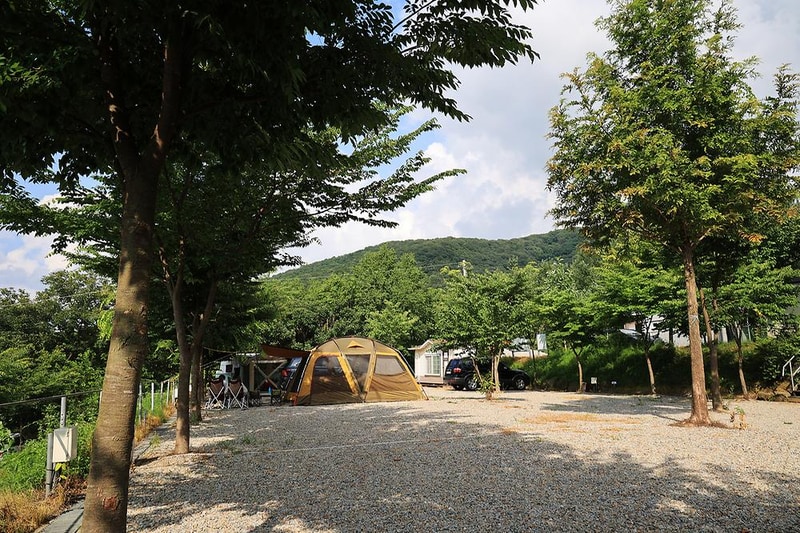 산머루농원캠핑장 시설 사진 1