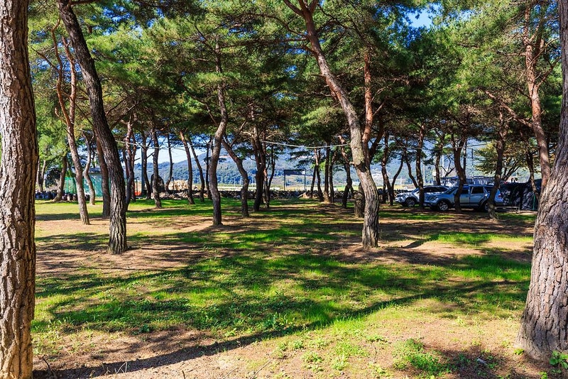 성보촌 캠핑장 시설 사진 13