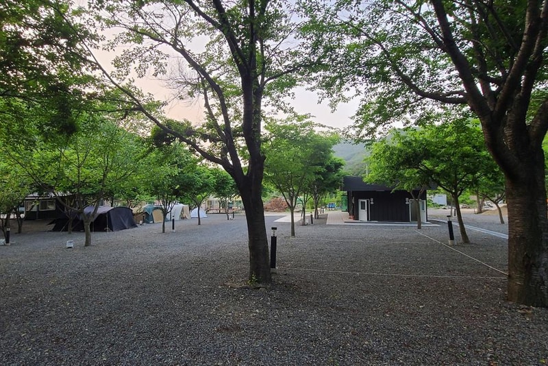 알프스캠핑 시설 사진 8
