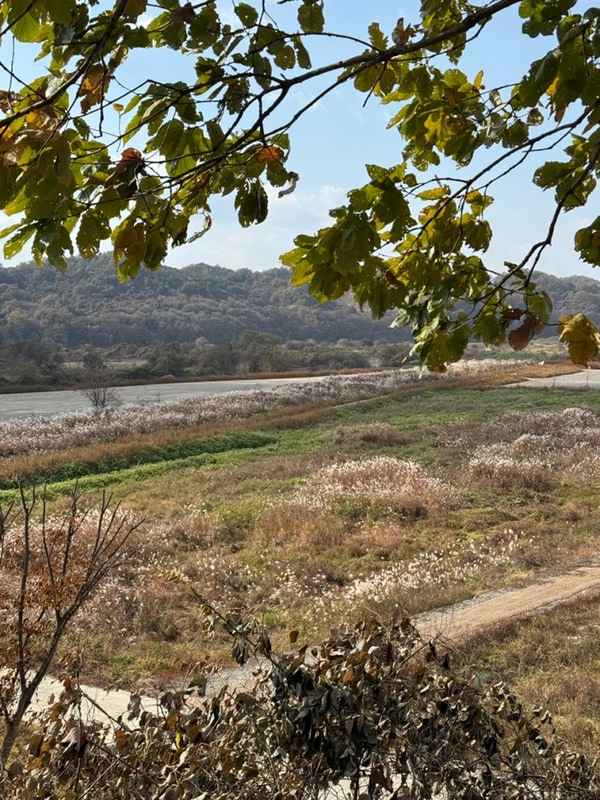 [경기/연천]단풍이 가득했던 할로윈 키즈캠핑장 ‘로하스캠핑’