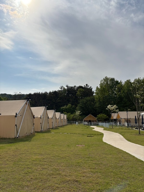 경북글램핑 왜관 하이스트글램핑장 칠곡캠핑장 후기