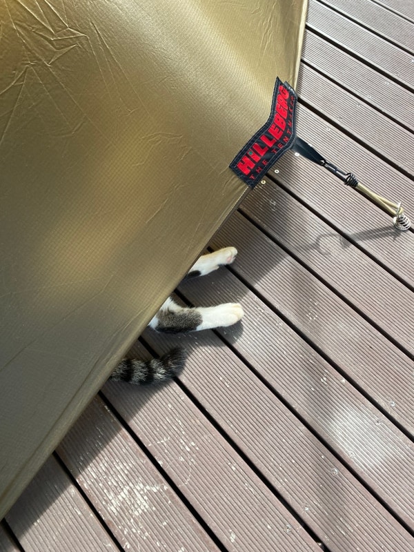 구리토평가족캠핑장 with_고양이