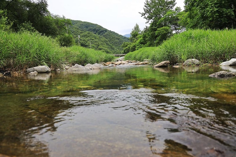 산책 시설 사진 6