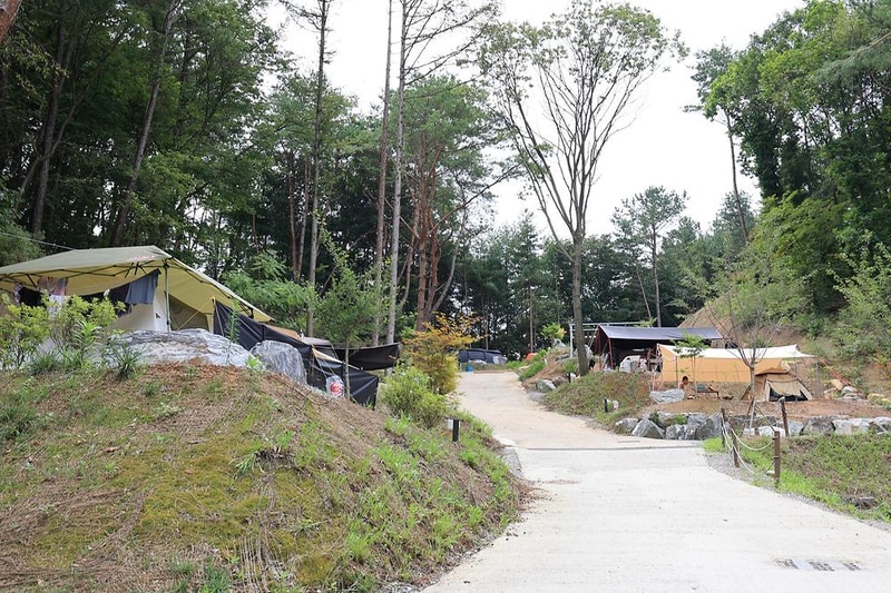 푸르른 캠핑장 시설 사진 21