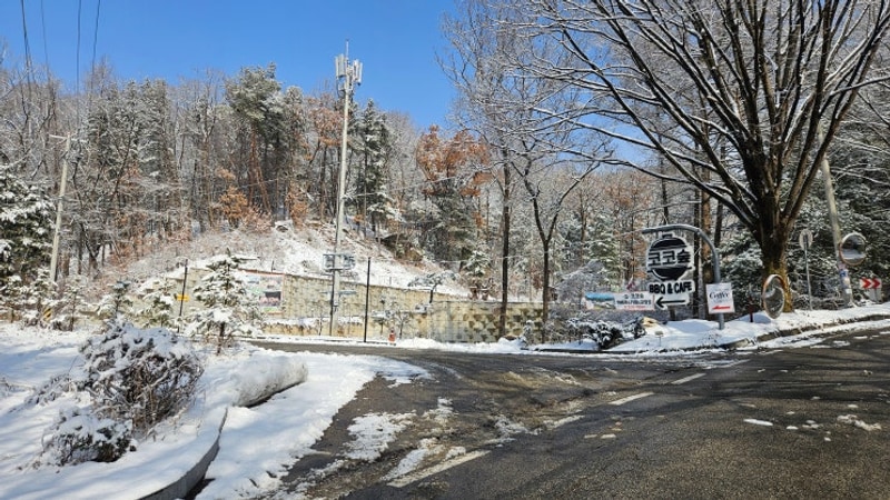 포천 코코숲 바베큐 서울근교글램핑 색다른 이색 체험 눈 덮인...
