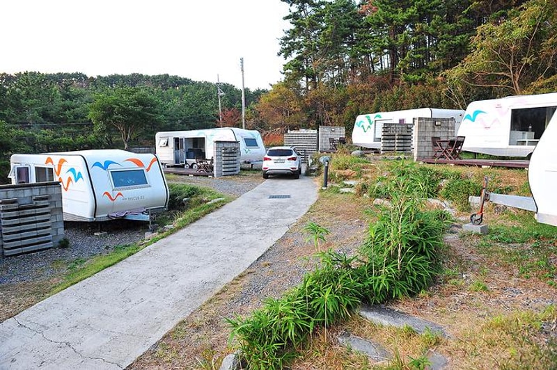 트로피칼드림야영장 대표 사진