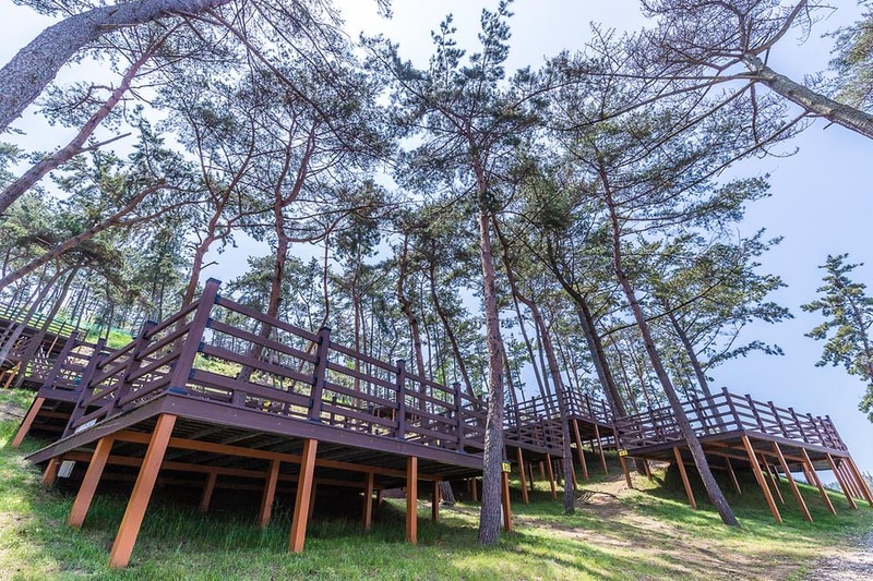 솔향기캠핑장 시설 사진 4