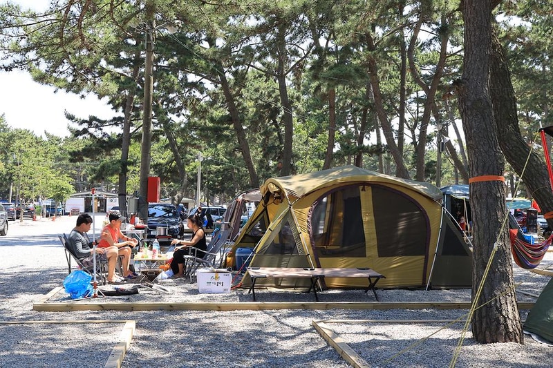 몽산포오토캠핑장 시설 사진 4