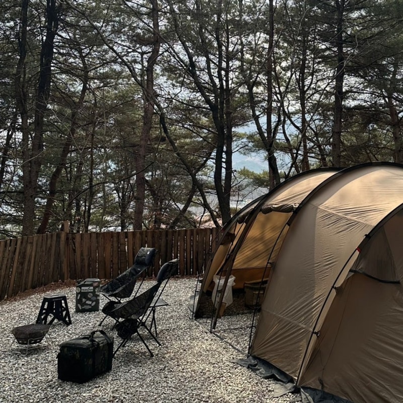 [경기도 가평] 서울근교 애견동반캠핑장 “선택적고립”캠핑장