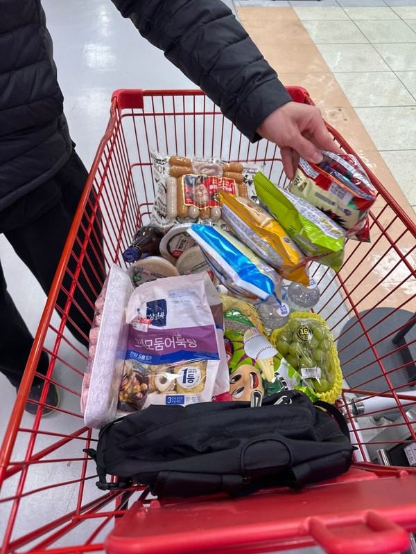 임씨네 가족 글램핑 (용인 대장금 파크 글램핑 카라반)