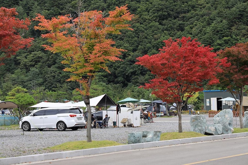 태백 눈꽃 야영장 시설 사진 19