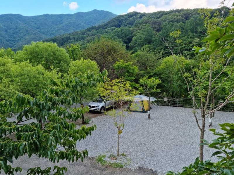 지리산천왕봉오토캠핑장 대표 사진