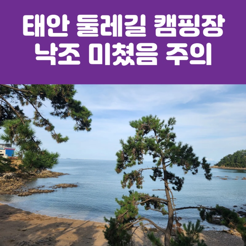 아이와 서해 태안 오토캠핑장 "태안 둘레길 캠핑장" 낙조...