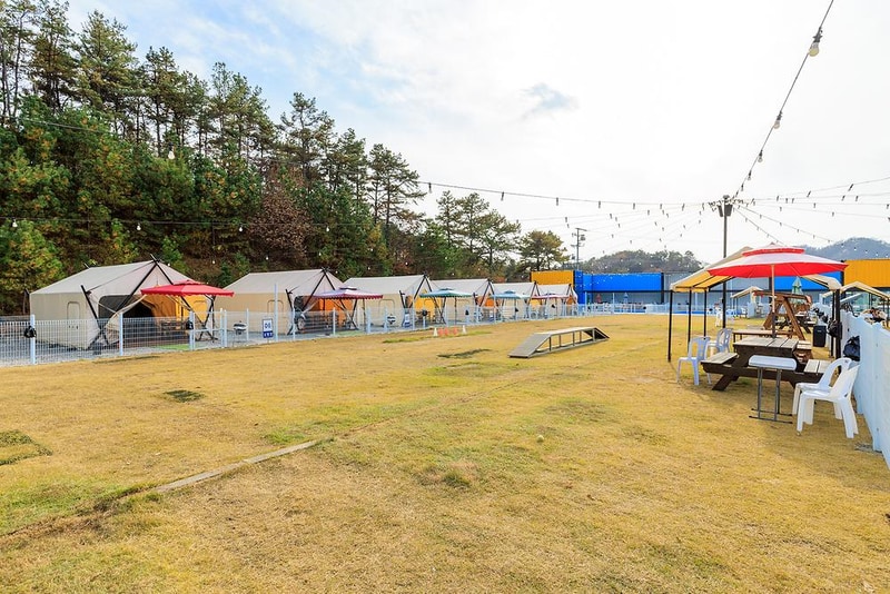 멍글멍글 펫글램핑 시설 사진 17