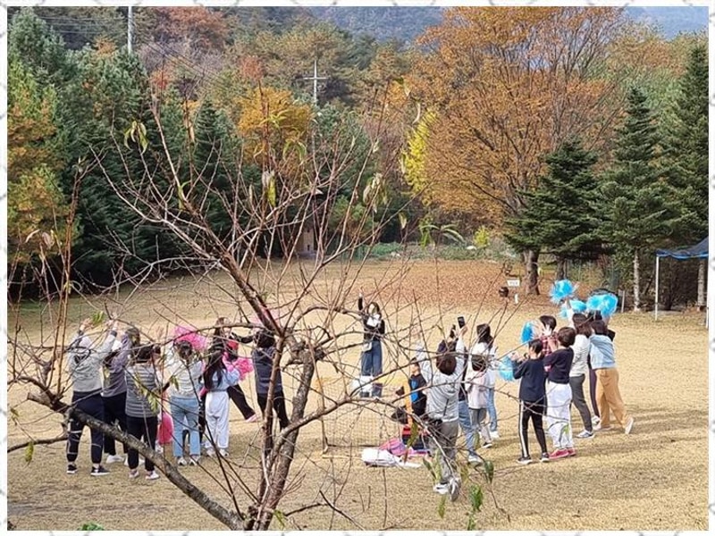 영월캠핑 영월 소나무와계곡캠핑장에서의 힐링 캠핑 체험기
