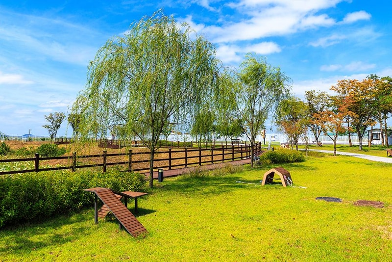 의성펫월드 오토캠핑장 시설 사진 19