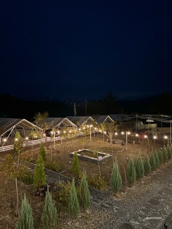 가평 애견동반 캠핑장 나아정 9번 사이트 후기