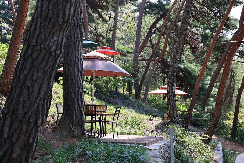 청춘별곡 시설 사진 13