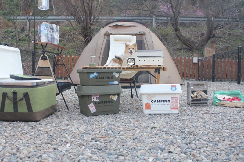 서울 근교 애견동반 캠핑장 여주 캠핑주막 댕댕사이트 후기