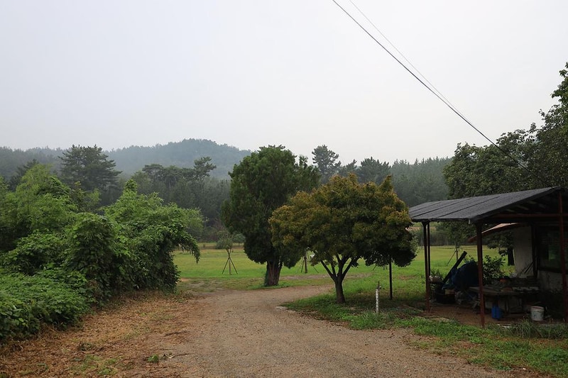 숲속의드림캠프야영장 시설 사진 17