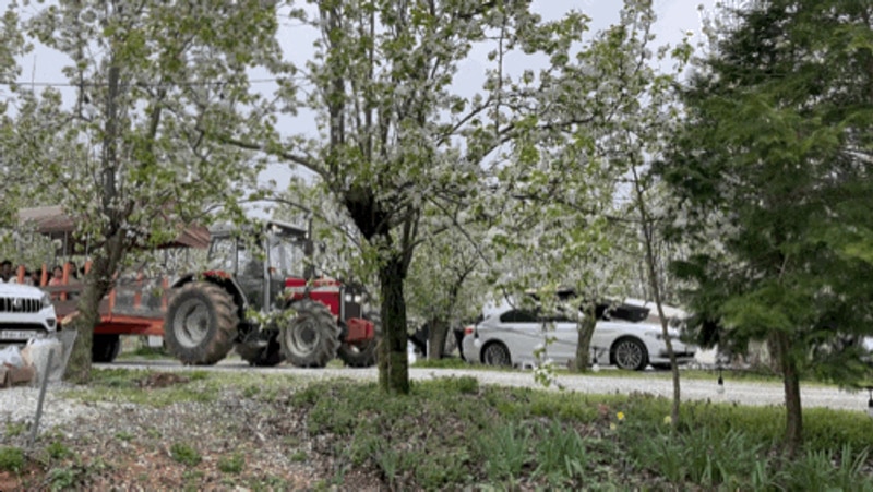 풍경이 너무 좋은 충남 예산 팜앤투어캠핑장 + 예산시장