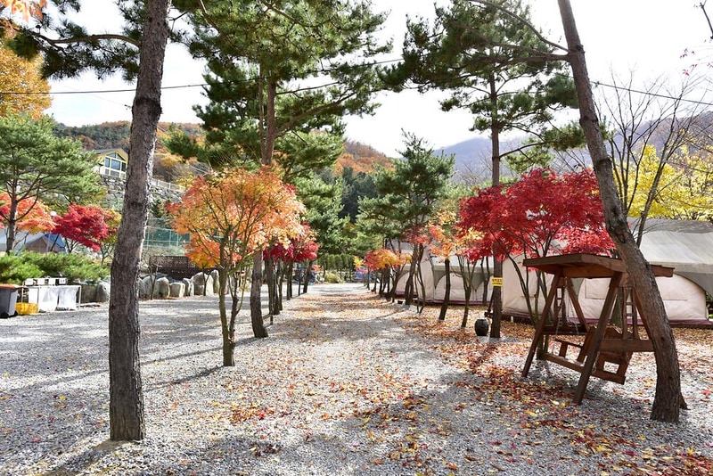 리즈밸리 시설 사진 15