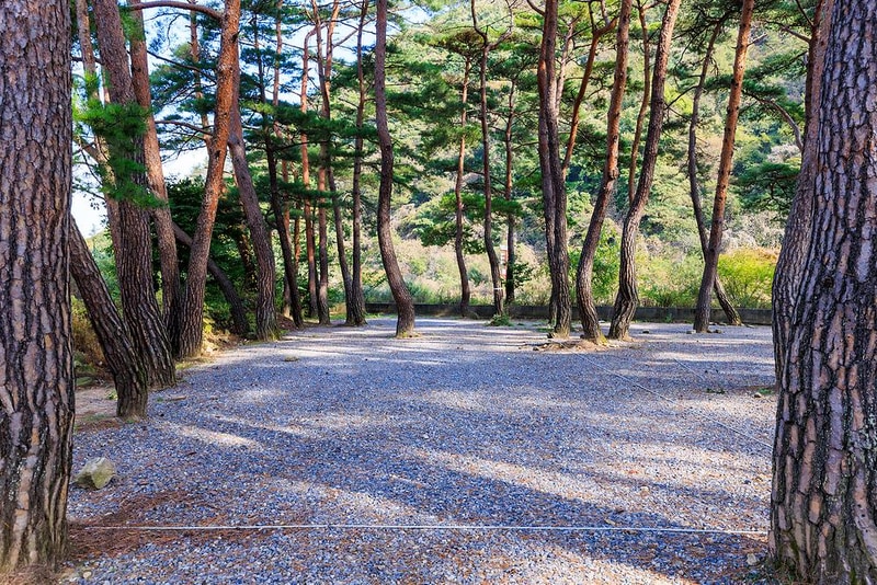 월악산억수솔밭캠핑장 시설 사진 7