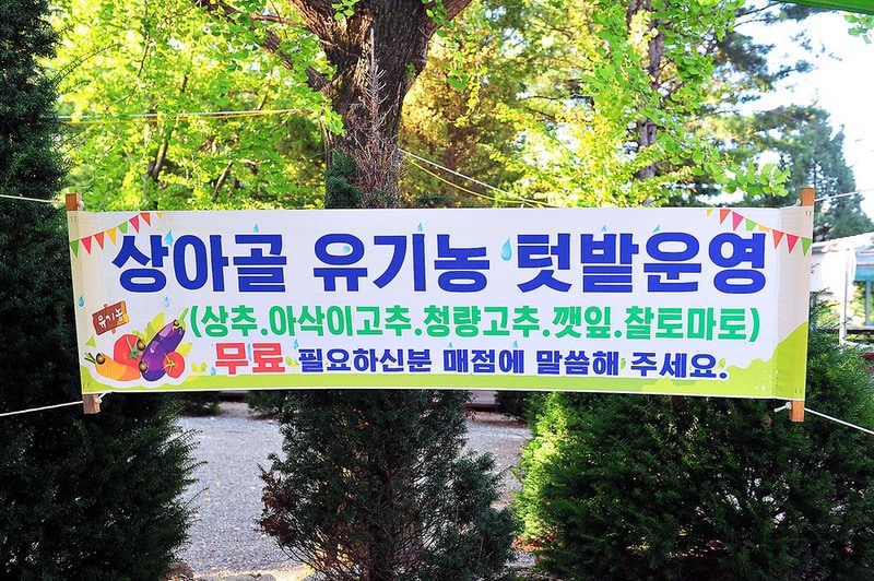 상아골계곡오토캠핑장 시설 사진 3