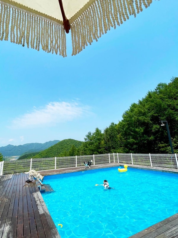 캐닌힐스(CANINHILLS) 시설 사진 10